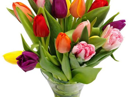 104. Boeket Tulpen/Dutch Tulips